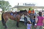 Kampf der Giganten Sundhausen (Foto: nnz-City Scout: Sven G&auml;mkow)