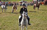 Kampf der Giganten Sundhausen (Foto: nnz-City Scout: Sven G&auml;mkow)