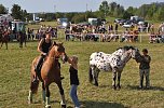 Kampf der Giganten Sundhausen (Foto: nnz-City Scout: Sven G&auml;mkow)