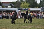 Kampf der Giganten Sundhausen (Foto: nnz-City Scout: Sven G&auml;mkow)