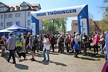 Großartiger MDR Osterspaziergang in Bad Frankenhausen (Foto: Karl-Heinz Herrmann) Großartiger MDR Osterspaziergang in Bad Frankenhausen (Foto: Karl-Heinz Herrmann)