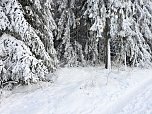 Winterliche Harzimpressionen (Foto: P.Blei) Winterliche Harzimpressionen (Foto: P.Blei)