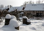 Wintergr&uuml;&szlig;e (Foto: Ch. Wiesemann)
