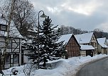 Wintergr&uuml;&szlig;e (Foto: Ch. Wiesemann)