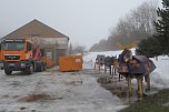 Neues vom Kuhstall (Foto: Christiane Wiesemann)