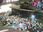 Entenrennen in Bad Langensalza (Foto: Markus Fromm)