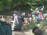 Entenrennen in Bad Langensalza (Foto: Markus Fromm)