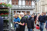 Gr&uuml;nes Innenstadtfest in Bad Langensalza (Foto: oas)