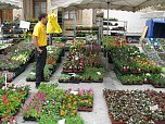 Blumen und mehr (Foto: P. Blei)