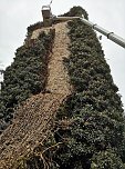 Befreiungsarbeiten am Pulverturm im Arboretum (Foto: Stadtverwaltung Bad Langensalza)