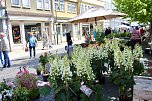 Gr&uuml;nes Innenstadtfest Bad Langensalza (Foto: Eva Maria Wiegand)