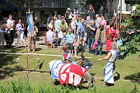 Bild: Kr&auml;merbr&uuml;ckenfest in Erfurt