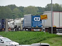 Bild: B&auml;rin Conny zieht nach Worbis