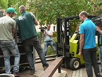 Bild: B&auml;rin Conny zieht nach Worbis