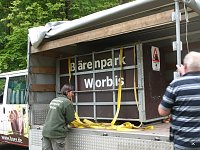 Bild: B&auml;rin Conny zieht nach Worbis