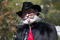 Bild: Armin Knapp vom deutschen Bartclub "Die Pforzemer Schn&auml;uz" siegt in der Kategorie Vollbart Freistil.