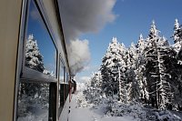 Bild: Am Frauentag auf den Brocken