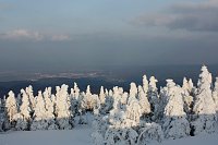 Bild: Am Frauentag auf den Brocken