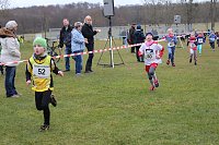 Bild:  Sportimpressionen aus Nordth&uuml;ringen (2)