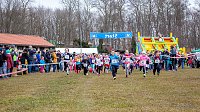 Bild: Anmelderekord beim Possenlauf