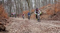 Bild: Anmelderekord beim Possenlauf