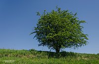 Bild: Auf der Unstrut unterwegs