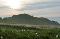 Wanderung im Morgengrauen Bild: Wanderung im Morgengrauen