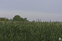 Wanderung im Morgengrauen Bild: Wanderung im Morgengrauen