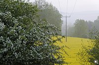 Wanderung im Morgengrauen Bild: Wanderung im Morgengrauen