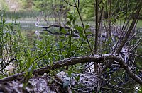 Wanderung im Morgengrauen Bild: Wanderung im Morgengrauen
