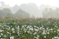 Wanderung im Morgengrauen Bild: Wanderung im Morgengrauen
