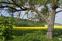 Wanderung im Morgengrauen Bild: Wanderung im Morgengrauen