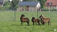 Wanderung im Morgengrauen Bild: Wanderung im Morgengrauen