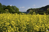 Wanderung im Morgengrauen Bild: Wanderung im Morgengrauen