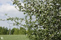 Wanderung im Morgengrauen Bild: Wanderung im Morgengrauen