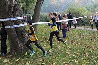 Bild: Stadtparklauf