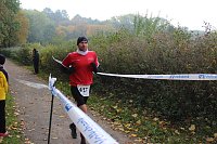Bild: Die langen Strecken beim Stadtparklauf