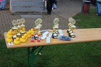 Bild: Die langen Strecken beim Stadtparklauf