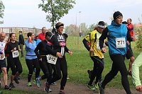 Bild: Die langen Strecken beim Stadtparklauf