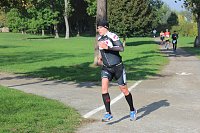 Bild: Die langen Strecken beim Stadtparklauf