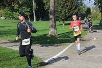 Bild: Die langen Strecken beim Stadtparklauf
