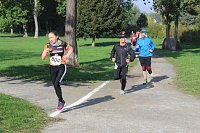 Bild: Die langen Strecken beim Stadtparklauf