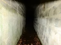 Bild: Spaziergang in Treseburg