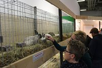 Bild: Gr&uuml;ne Woche 2017 in Berlin