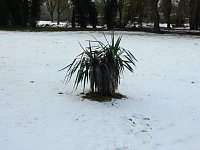 Bild: Peter Blei unterwegs - Schloss Mosigkau