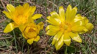 Fotoworkshop-Wochenende auf dem Karstwanderweg Bild: Fotoworkshop-Wochenende auf dem Karstwanderweg