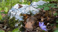 Fotoworkshop-Wochenende auf dem Karstwanderweg Bild: Fotoworkshop-Wochenende auf dem Karstwanderweg