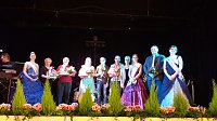 19. Ehrenamtsball des Unstrut Hainich Kreises Bild: 19. Ehrenamtsball des Unstrut Hainich Kreises