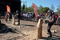 Bild: Emmenrausch am Stausee Kelbra