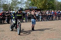 Bild: Emmenrausch am Stausee Kelbra